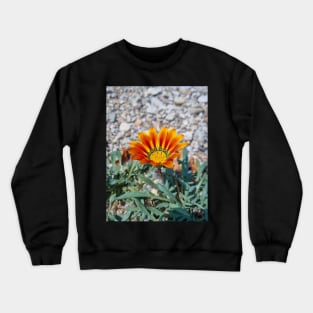 Beautiful Summer Orange Flower Crewneck Sweatshirt